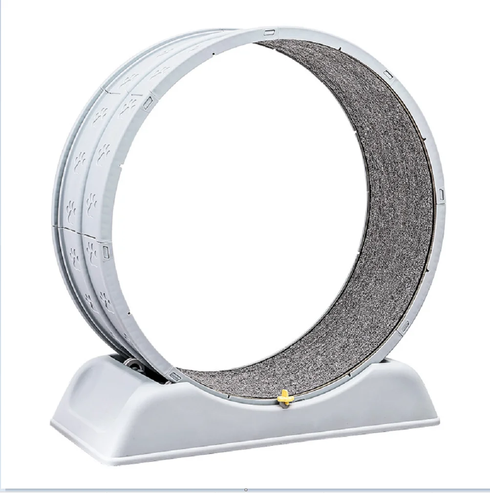 

Cat running wheel