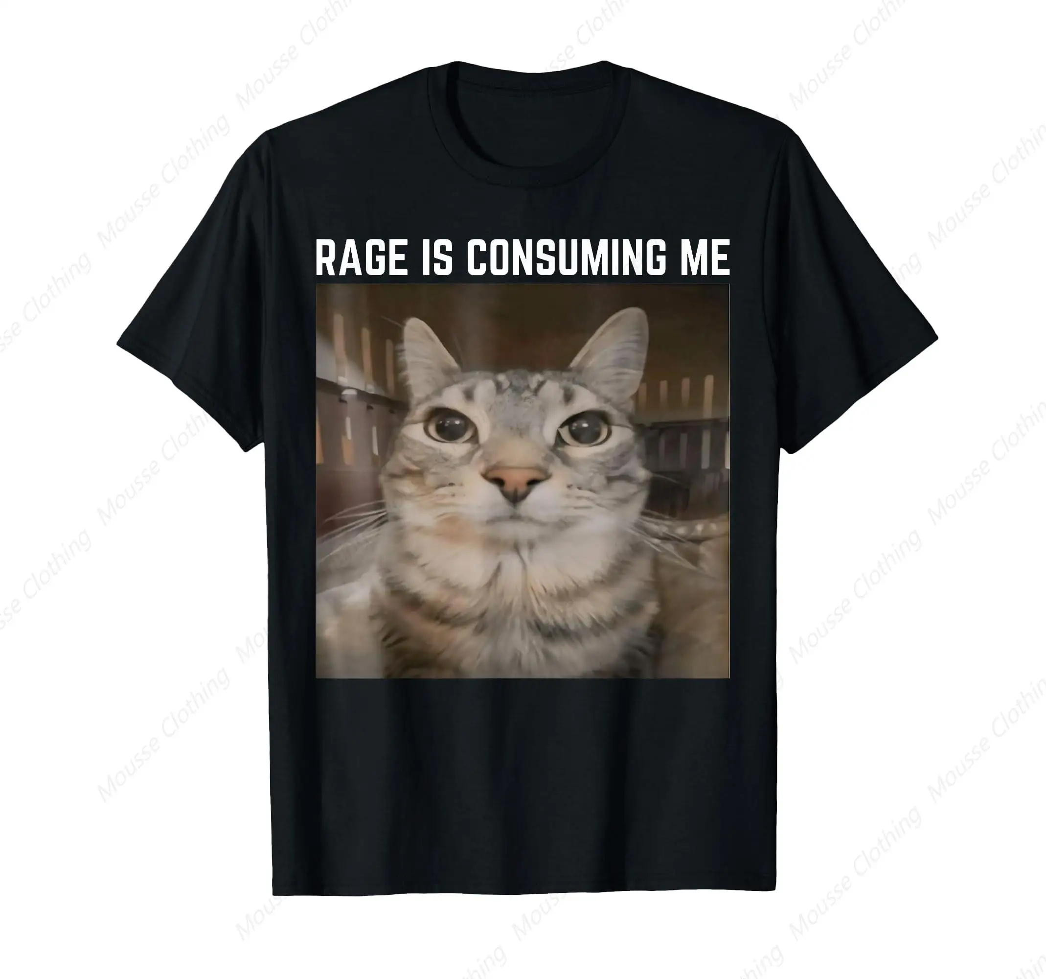 Rage Is Consuming Me Meme Cat Meme Oddly Specific Memes Joke T-Shirt