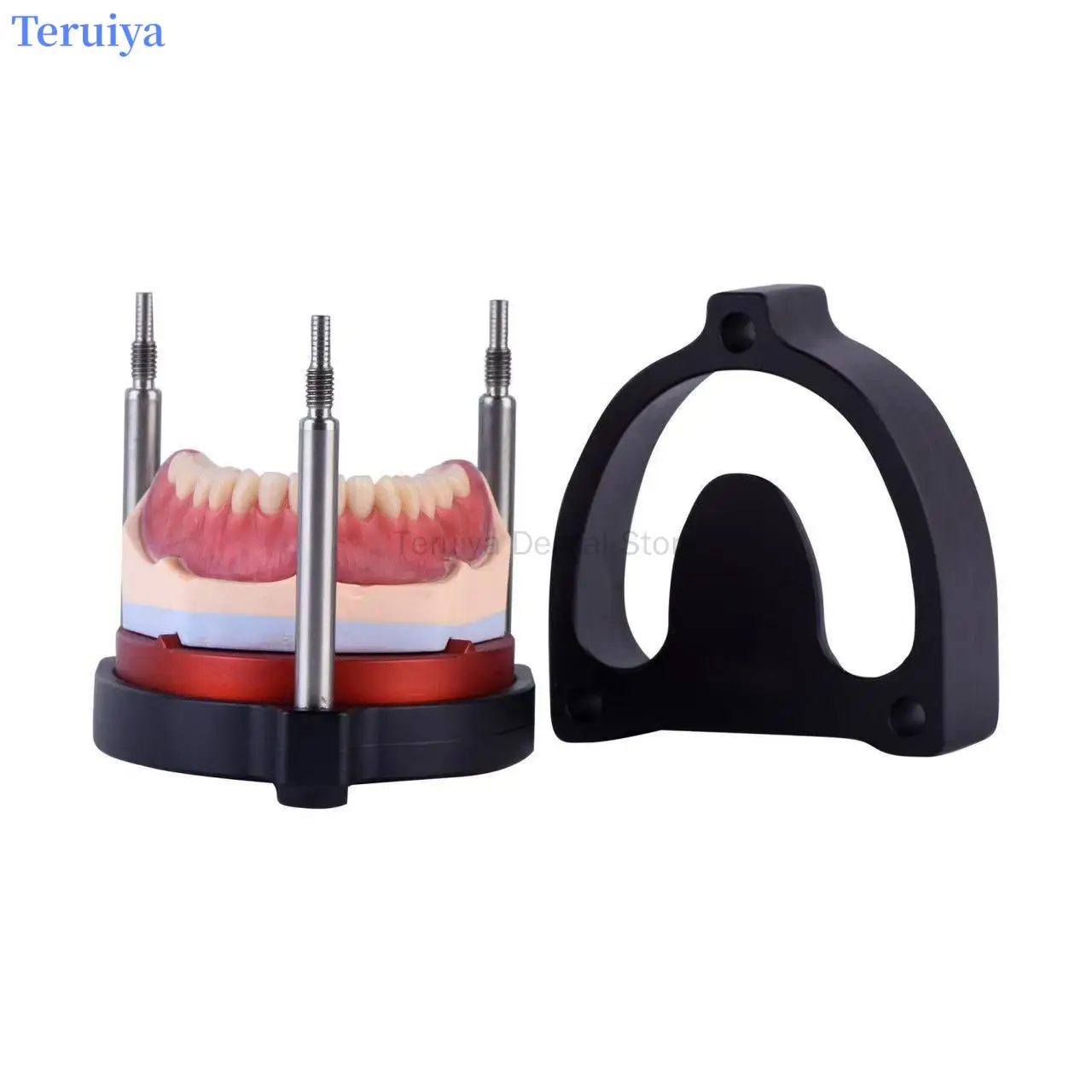 Authentic Dental Injection Molding Flask - Deformation - Free for Invisible Orthodontics & Provisional Crown Duplication
