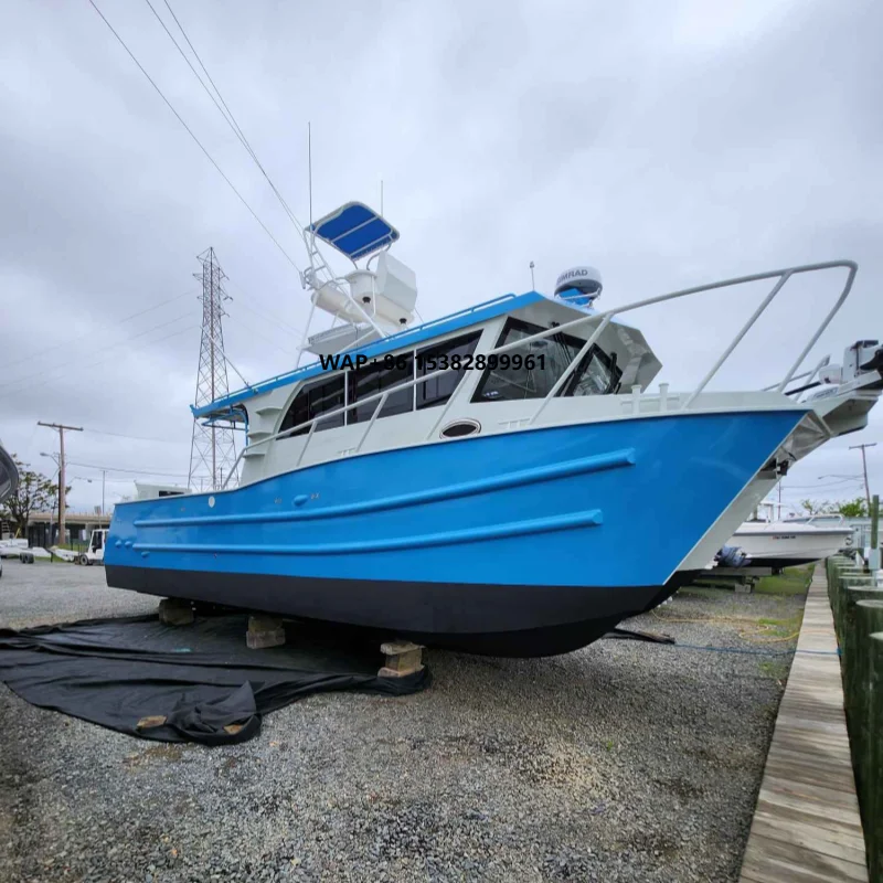 

11m Luxury Sailing Outboard Catamaran Commercial Aluminum Boat for Sale