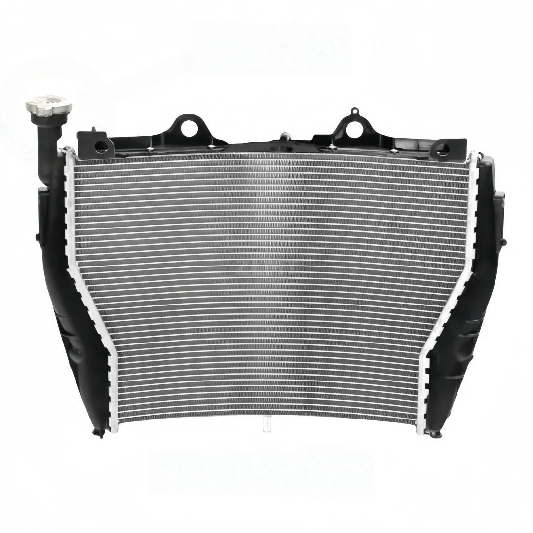 Fit For BMW S1000R S1000XR Motorcycle Aluminium Radiator Cooler Cooling S1000R 2014 - 2018 S1000 XR 2015 - 2016 2017 2018 2019