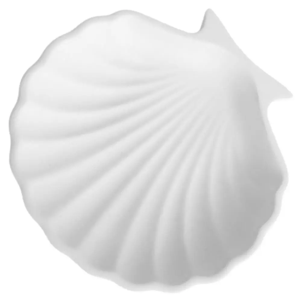 

Shell Jewelry Tray Small Trinket Dish Decorative Ring Holder Earrings Dish Minimalist White Jewelry Display Tray