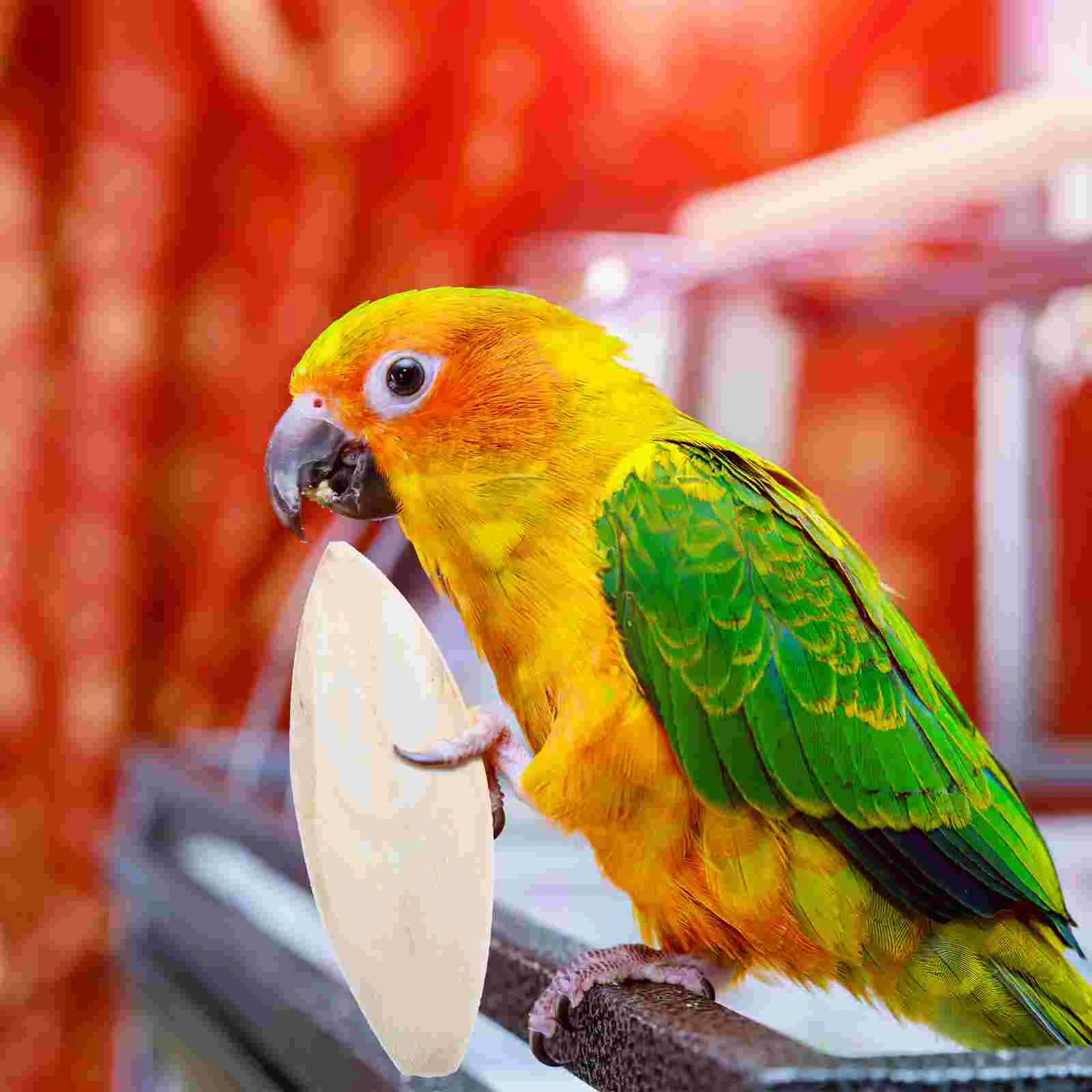 6 Stuks Cuttlebone Vogel Kauwspeeltje Huisdier Traktaties Snavel Grinder Grote Kauwen Molaire Bite Kaketoe Speelgoed