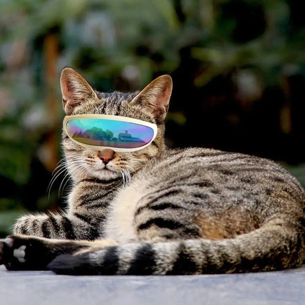 Fashion Cute Cat Sunglasses UV Protection Multicolor Dog Glasses Funny Daily Photography Props Handsome Pet Eyewear