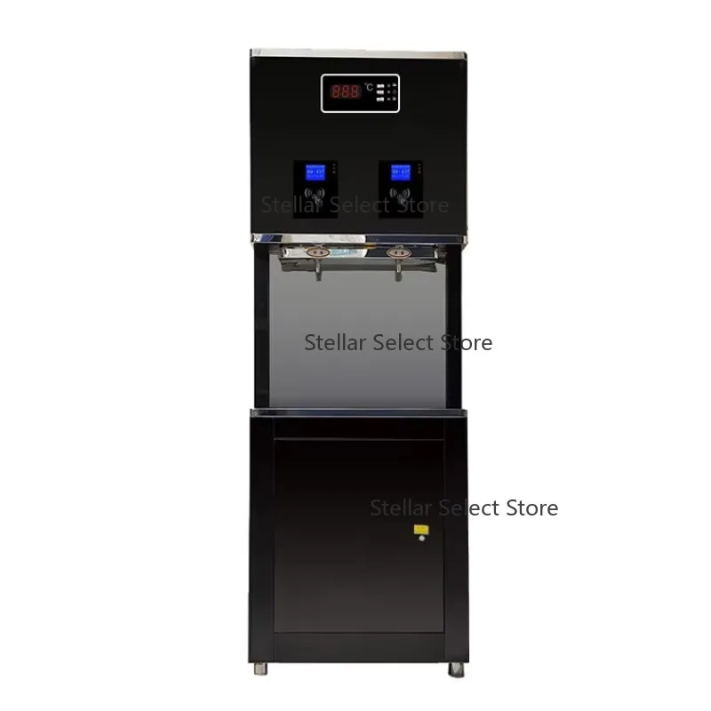 

IC Card Control Drink Water Dispenser for School 220V Water Filter Purifier