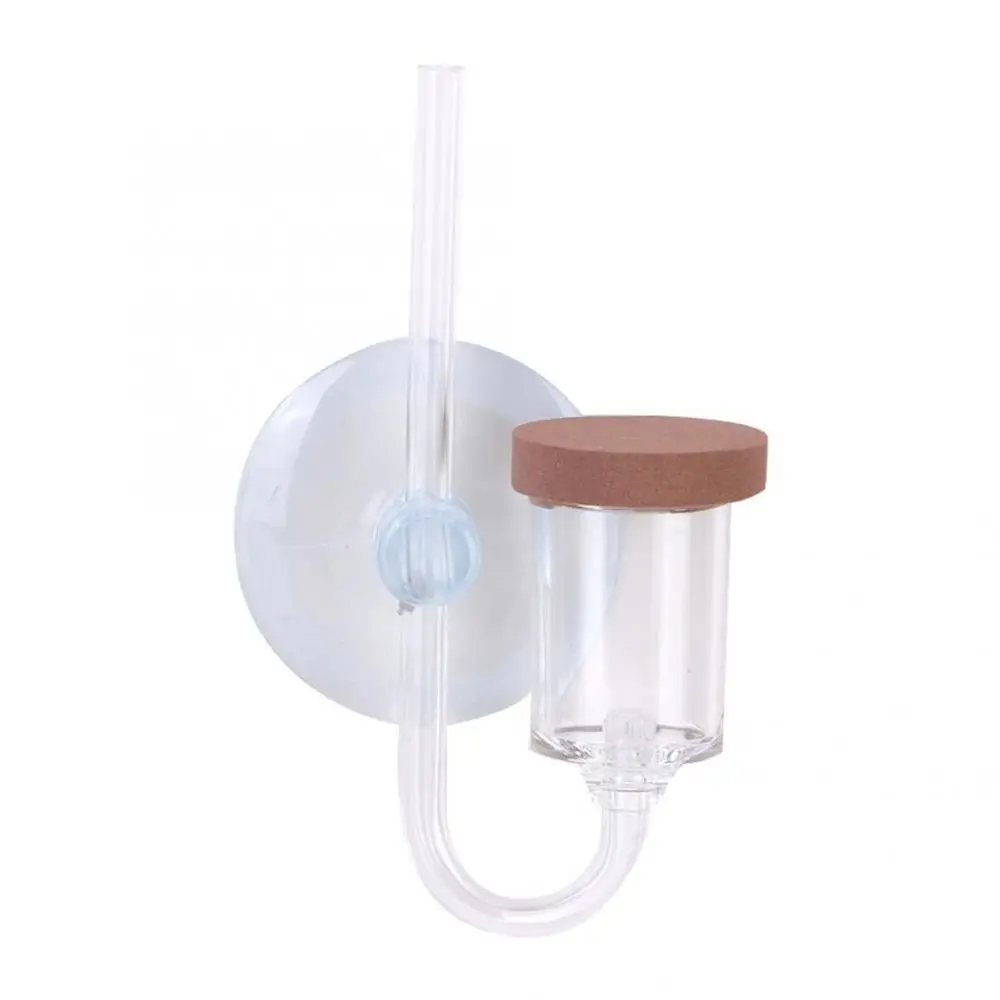 Akrilik Mini Balık Tankı Canlı - Aquarium Plant Order incelemesi ve fiyatı