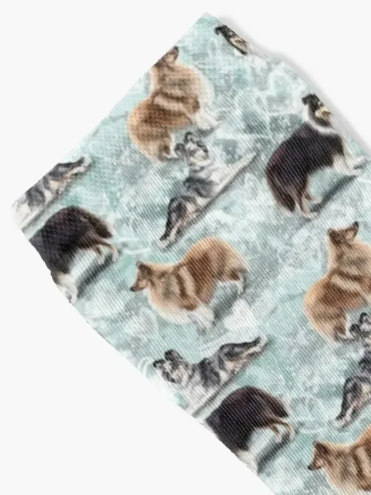 The Shetland Sheepdog Sheltie Socks crazy funny gifts Sports Hiking boots Boy Child Socks Women's