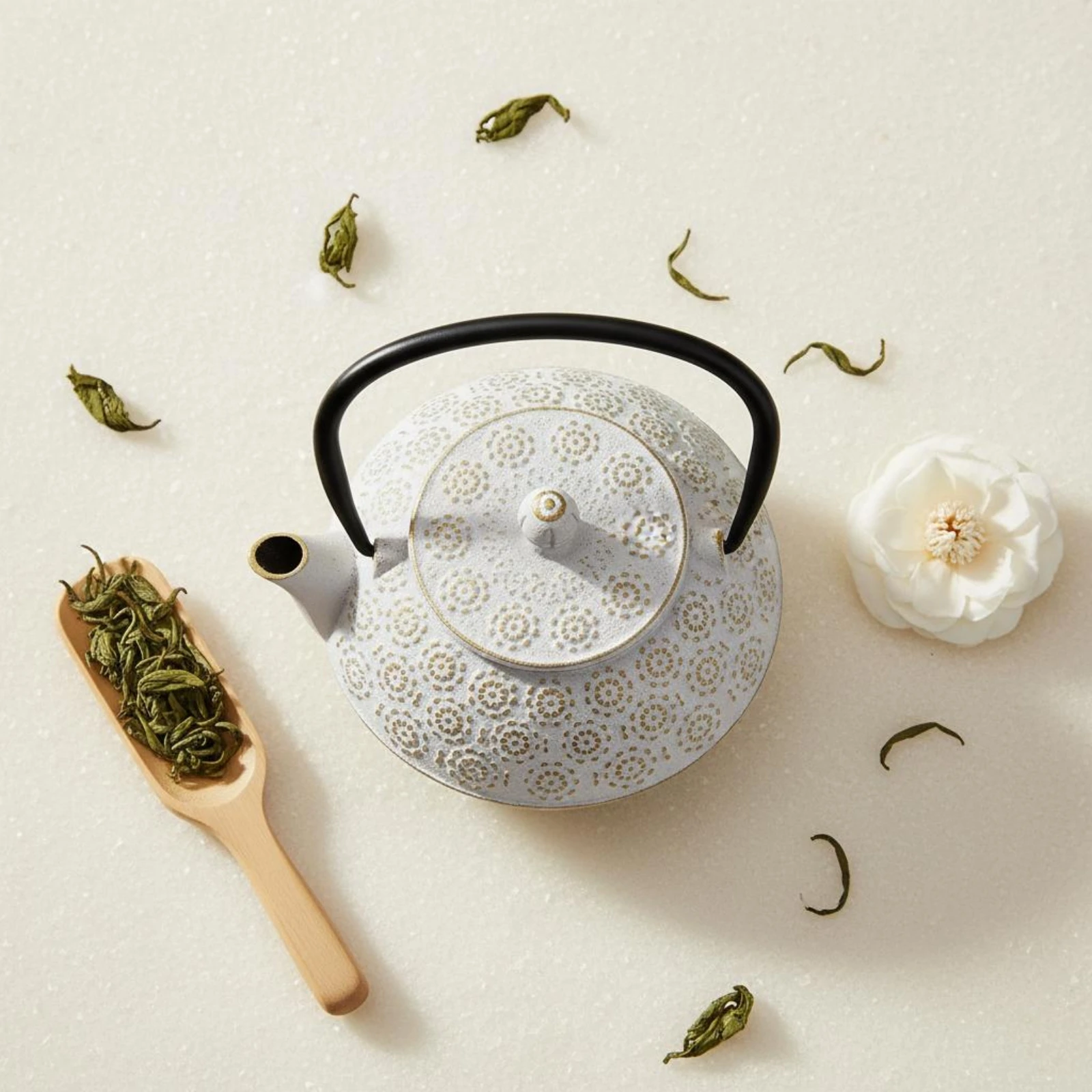 Cast Iron Teapot Speckled Cast Iron Tea Kettle Tea Kettle Fitted Lid Boiling Pot Stovetop Safe
