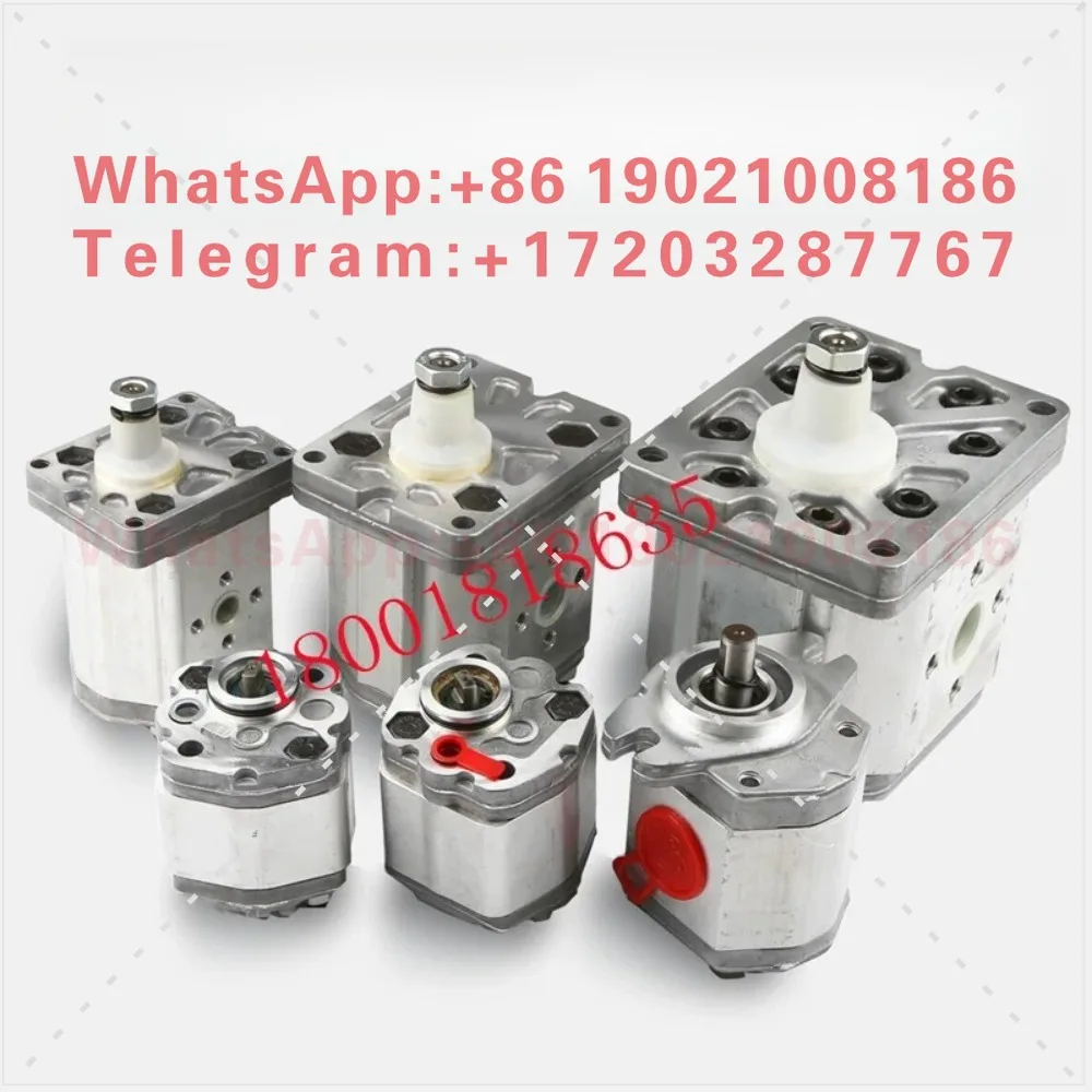 ALP1-D-2/3/4/5/6/7/9/11/13/16/20 Italian I Gear Pump
