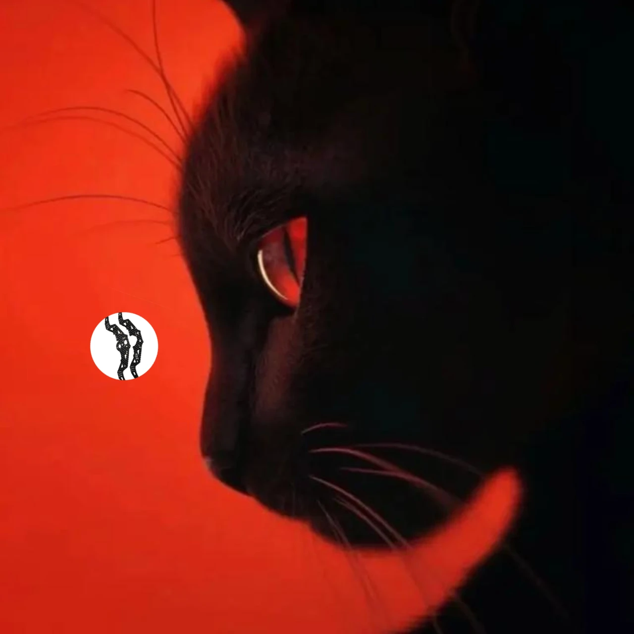 

GPM Carbon Fiber Chassis Side Panels For LOSI 1/18 Mini LMT LOS211052