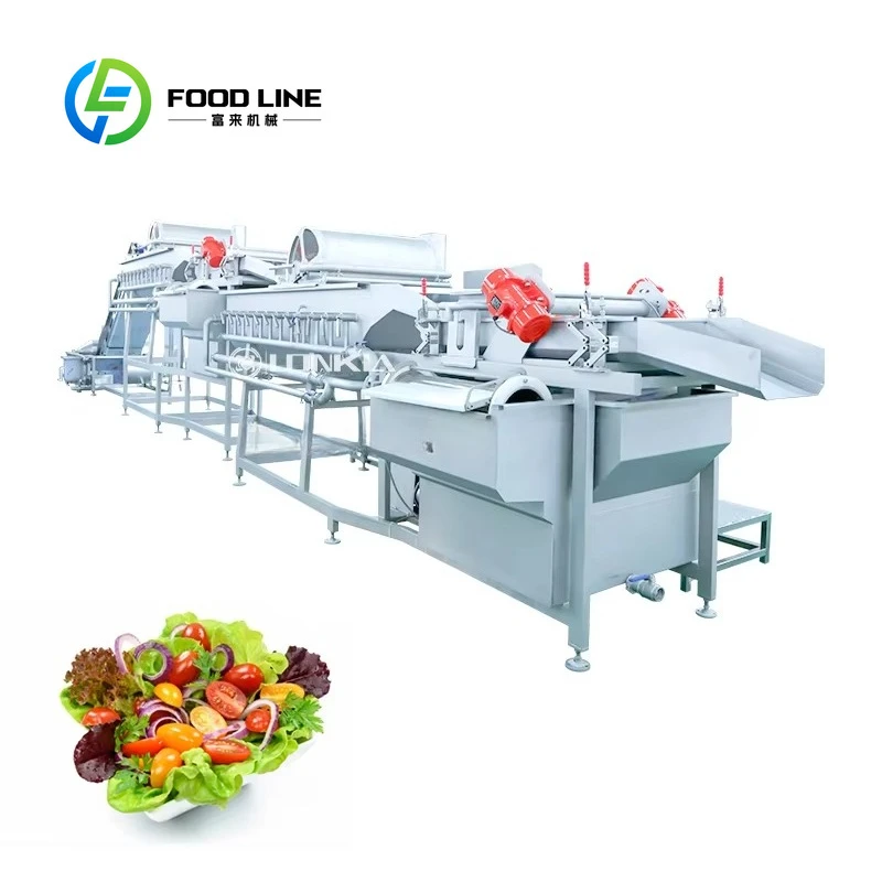 Línea de producción de lavado y ensalada de procesamiento de verduras con hojas de frutas y ensalada de repollo de lechuga de espinaca industrial