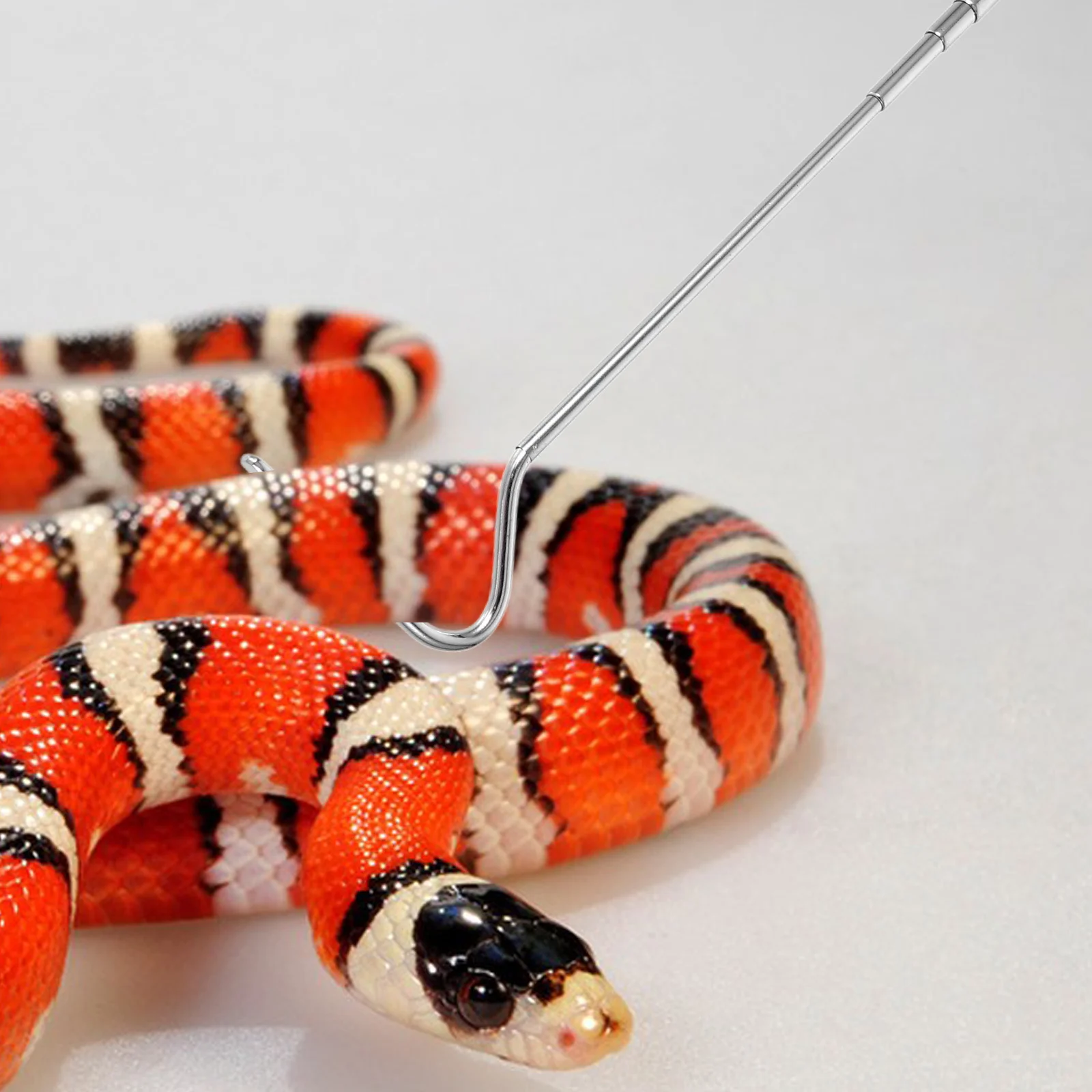 

Heavy Duty Stainless Steel Snake Grabber Tool Telescopic Design for Secure Reptile Handling Lightweight Folding Catching Hook