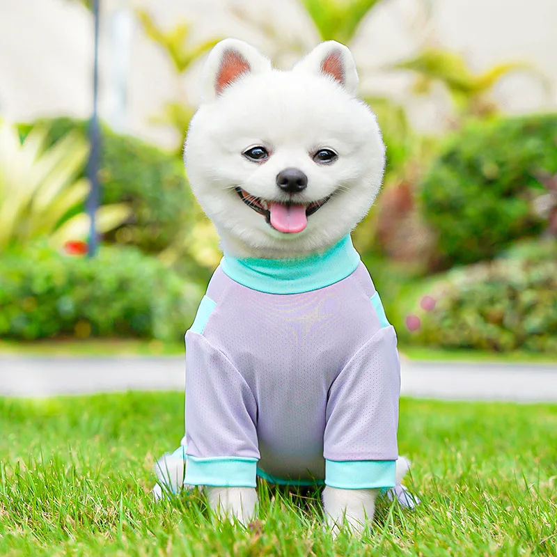 Mono de malla verano para perros pequeños – Shih Tzu y Dachshund - imagen 5