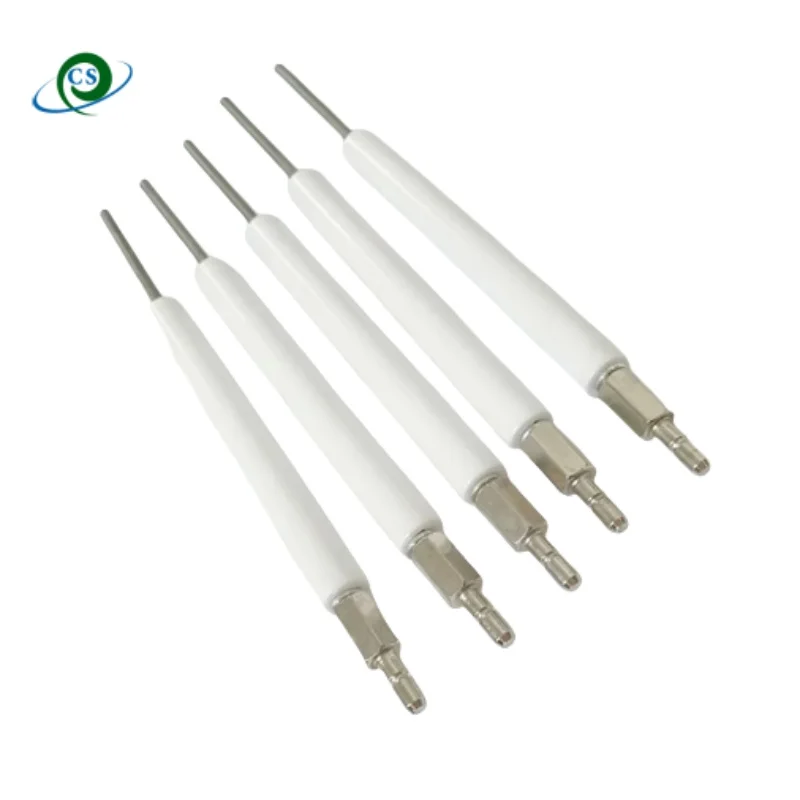 Burner Ignition Ele…