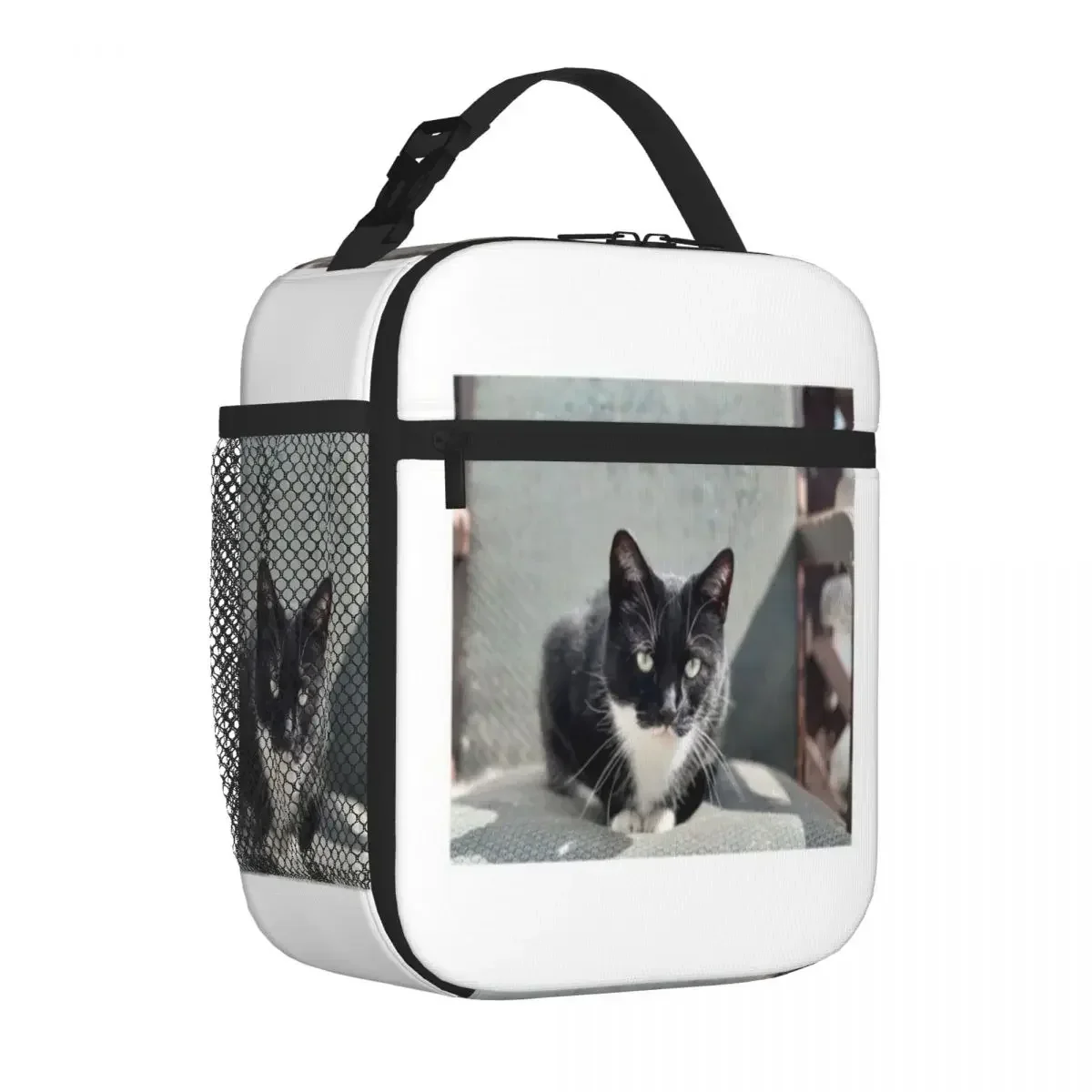 Hot Sale Luca Closeup Mens Style Compact Lunch Bag Road Trip Nylon Lunch Bag