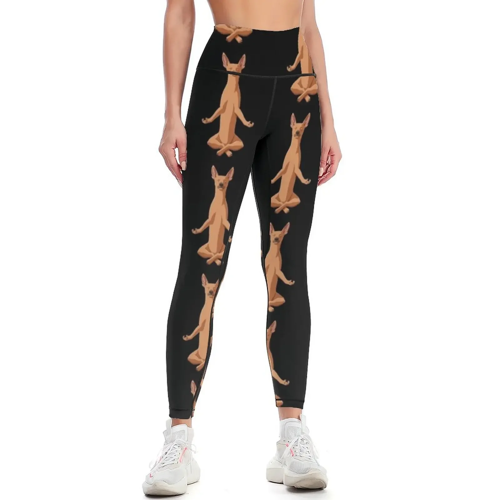 

Meditate Miniature Pinscher Dog Leggings gym sportswear woman Sports pants for gym's sportswear Womens Leggings