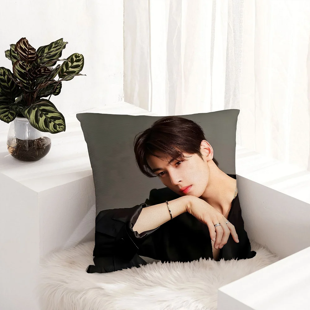 Kpop Singer Cha E-Eun W-Woo Pillow Case Plush Fabric Soft  Pillowcase Double Sided Print   Cushion Cover Throw Pillow Cover