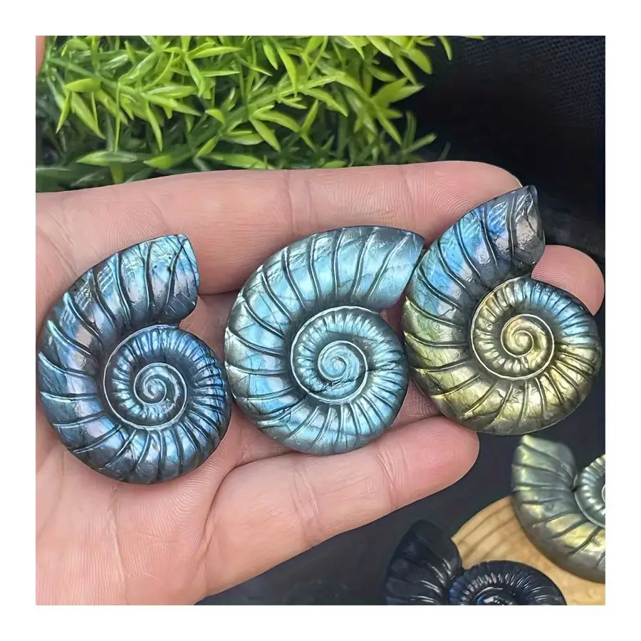 1pc Unique Natural Labradorite Snail Carvin，Ornament for Home Decor, Natural Stone, Handcrafted, Decorative,  Collectible