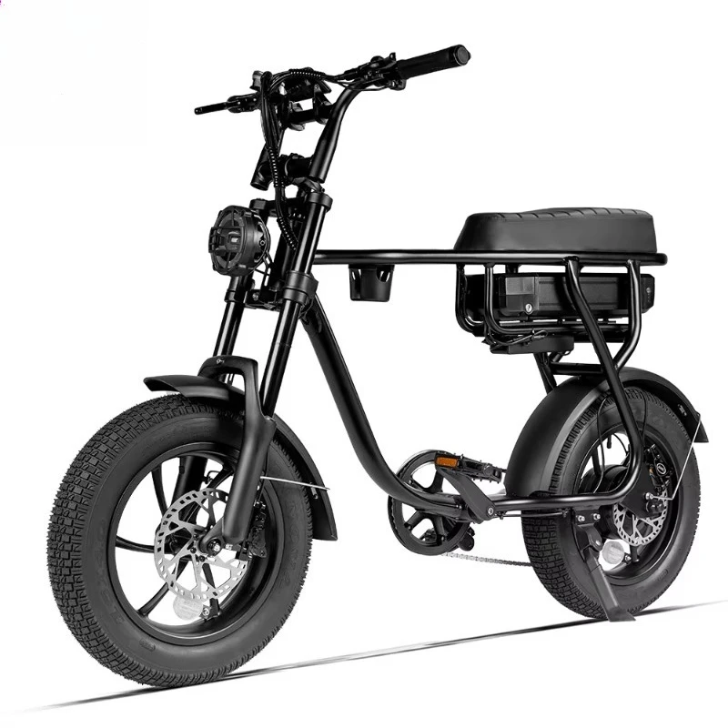 48v 750w Electric Mountain Bike Fast Ebike with 15ah Lithium Battery Road Dirt Fat Tire 750w Electric Cycle