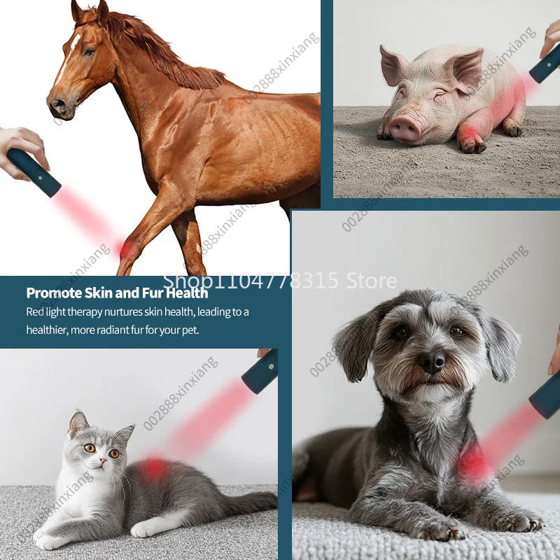 For Red Light Infrared Therapy Device For Pets Fracture Wound Healing Portable Timed Therapy Light 200mw/cm² High Power Output