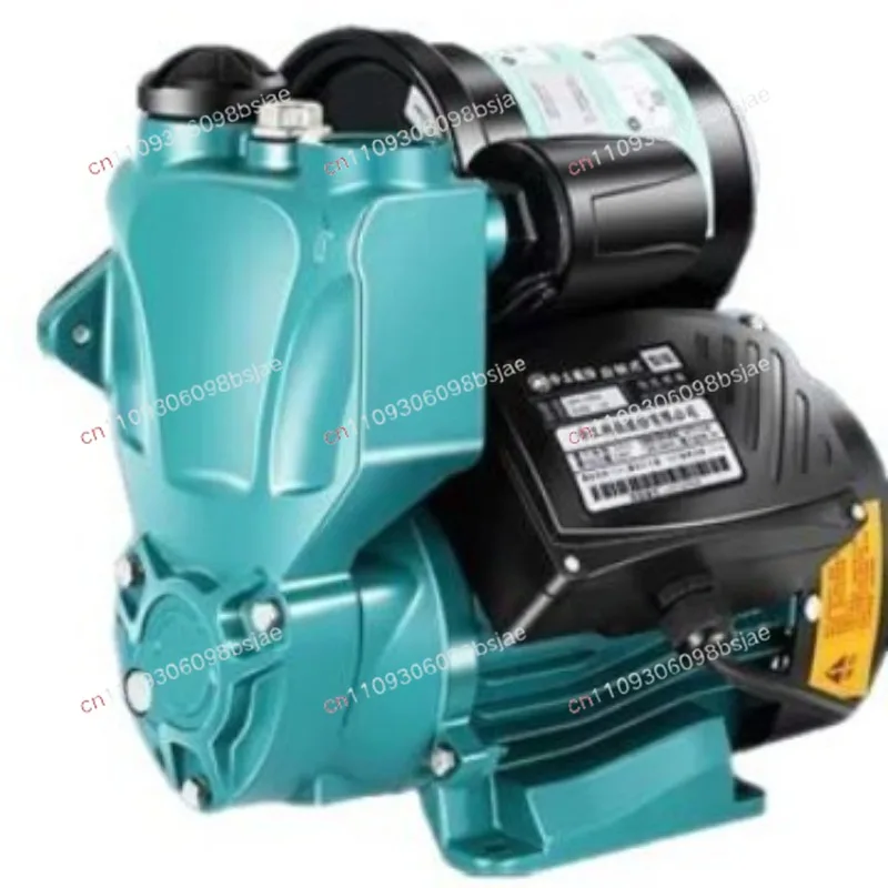 WZB household booster pump foreign trade cross-border American customer hot-selling 110V American standard household