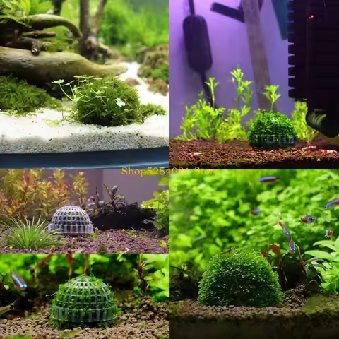 AXYC Natural Mineral Aquatic Moss Ball for Aquarium Crystal Red Shrimp Fish for Tank