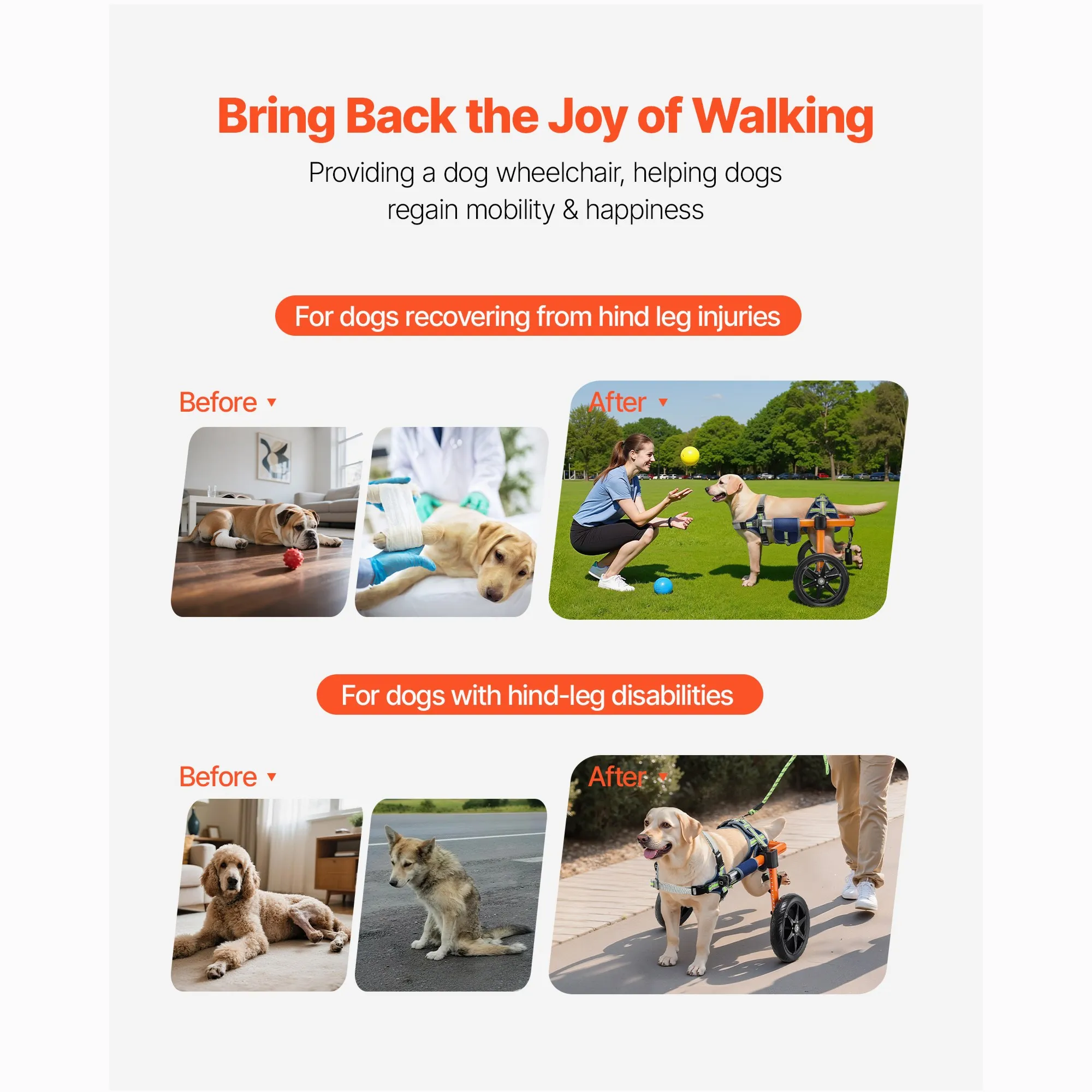 Lightweight 2-Wheel Dog Wheelchair for Hind Legs – Adjustable Height, Width & Length | Shock-Absorbing Wheels | Suitable for Med
