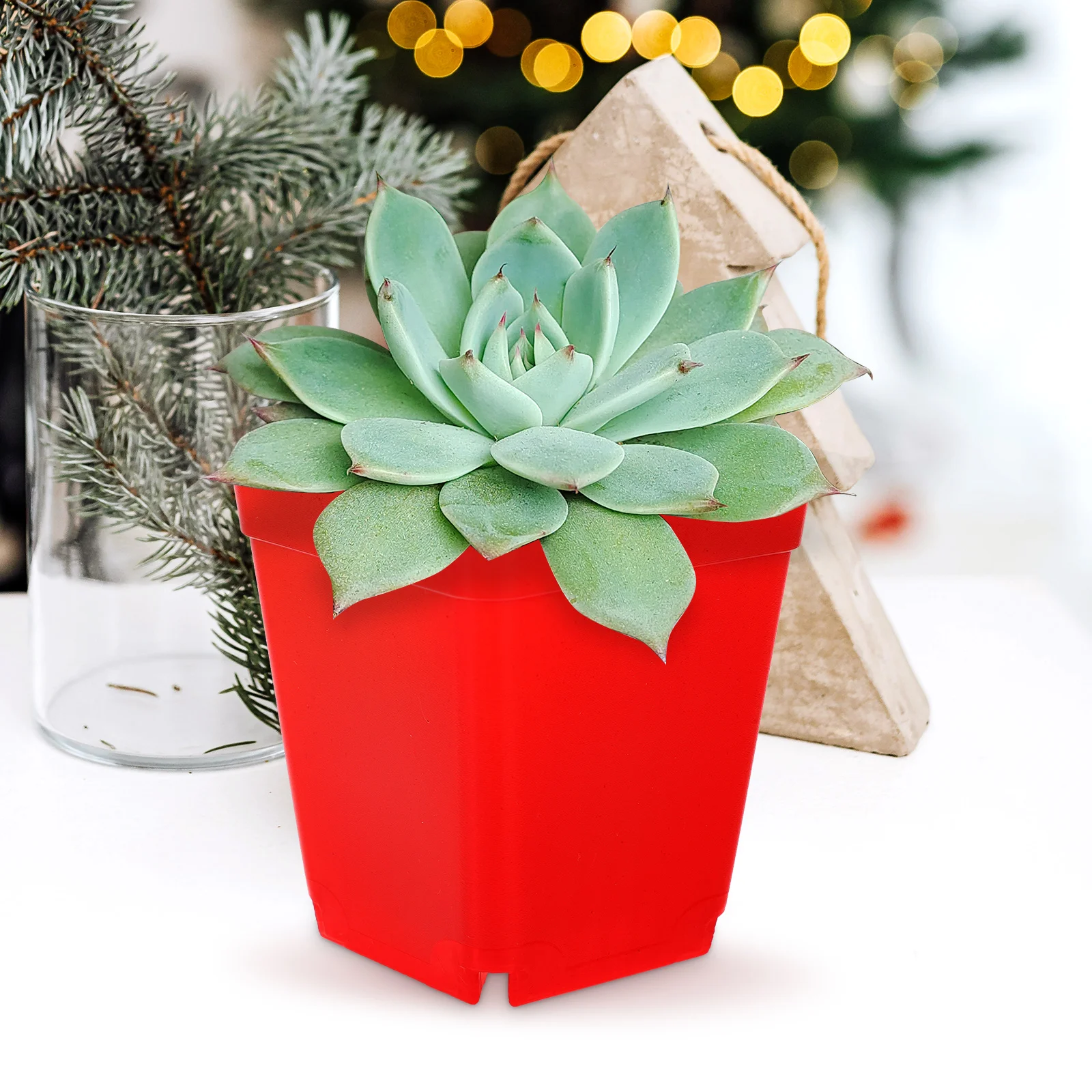 

120 Pcs Square Plastic Flower Pots Mini Planter Plastic Flower Pot Succulents Cactus Bonsai Black Green Red Garden Decor
