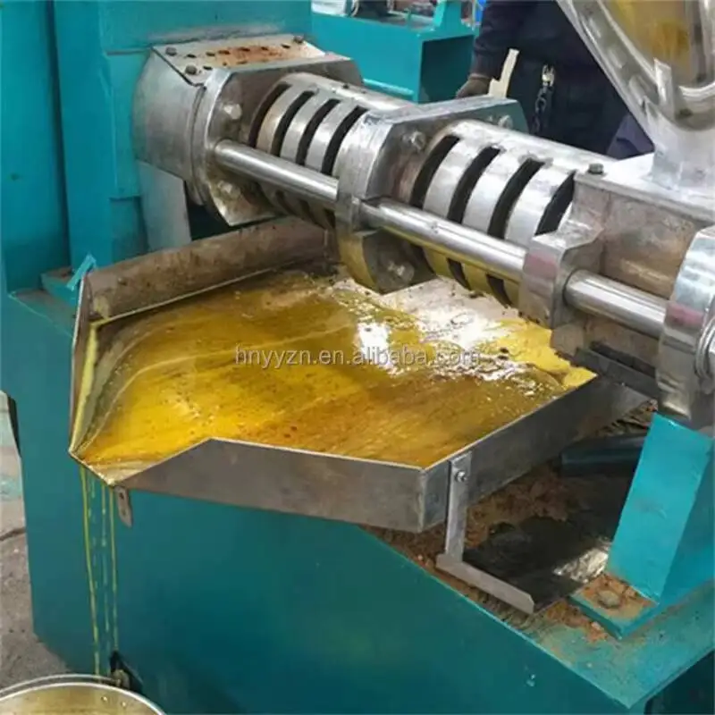 Small Business Soybean Rapeseed Peanut Automatic Screw Oil Press Machine Spiral Oil Press For Various Oil Crops