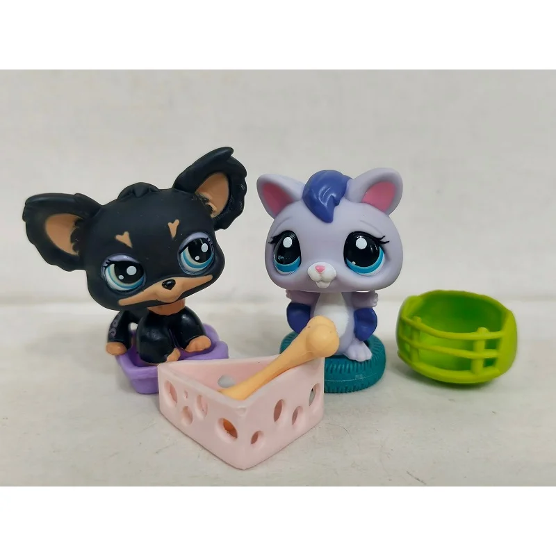 2pcs/lot LPS Figure Black Dog Blue Squirrel W/Accessories Littlest Pet Shop toy #243