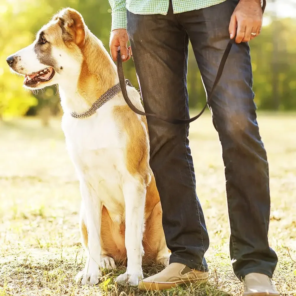 Hundeleine aus echtem Leder, lange Leinen für Hunde, geflochtenes Haustier-Walking-Training führt braun-schwarze Farben für mittelgroße und große Haustiere – Detail 15