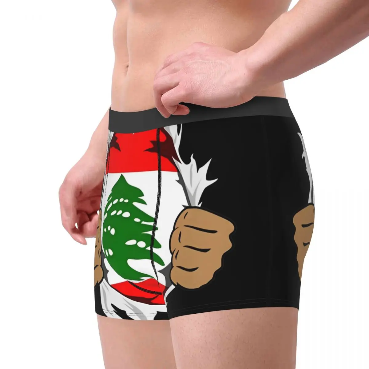 Men's Lebanon Flag Lebanese Roots Gift Underwear Humor Boxer Briefs Shorts Panties Male Soft Underpants Plus Size