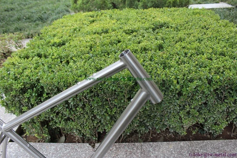 Custom Titanium MTB Bike Frame with a Rear Rack and Belt Drive and Pinion