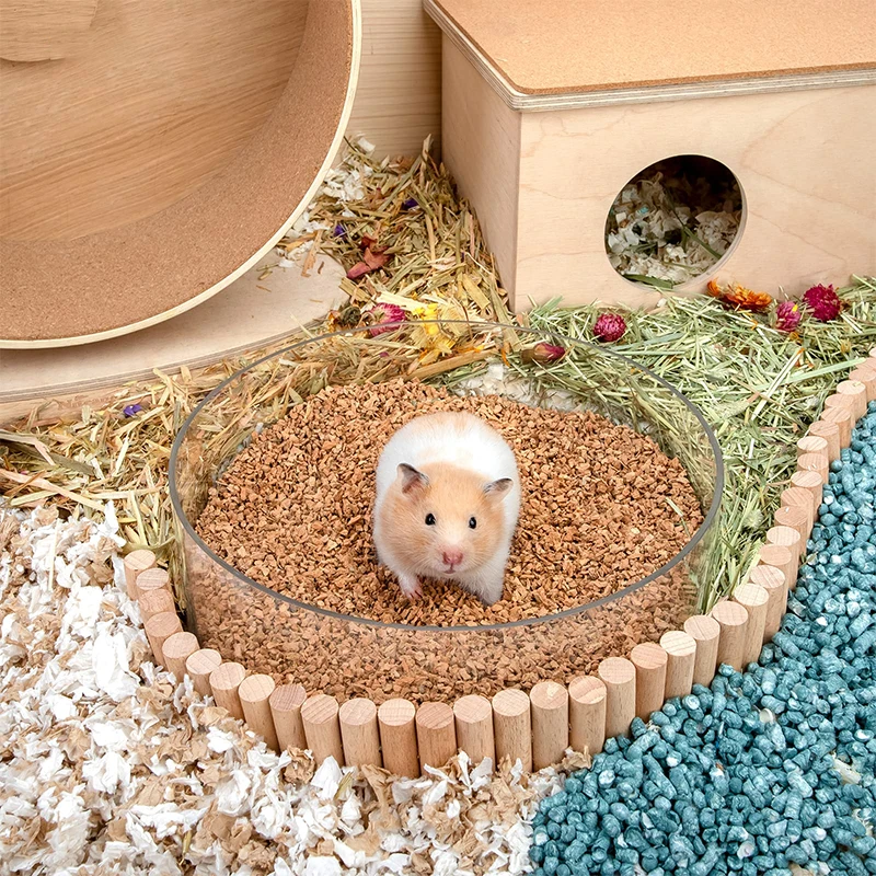 Thumbnail 4 - #4 Top 50 Hamster Habitats Worth Buying In 2026