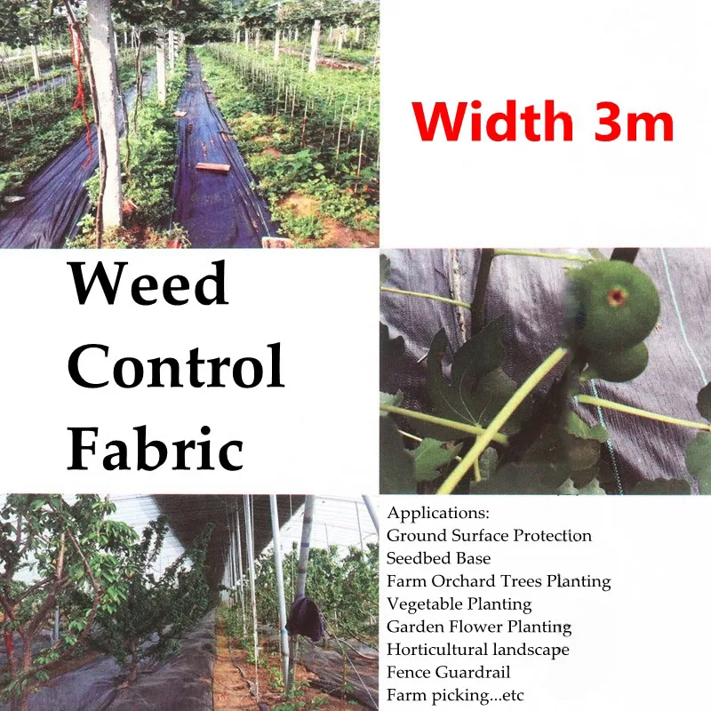 Width 2.5m/3m/4m Weed Control Fabric Black Plastic Anti Grass Ground Cover Greenhouse Ground Surface Protection Weed Control Mat