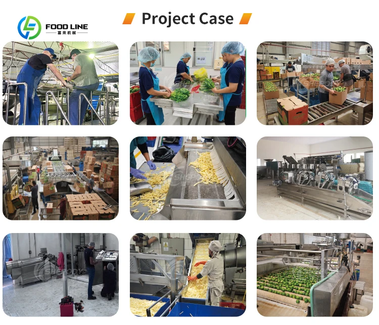 Machine à frire l'oignon automatique industrielle 300Kg/H Machine à frire l'oignon continue