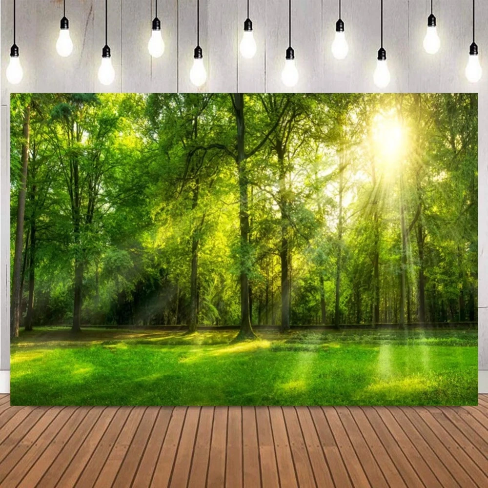 Sunlit Jungle Path Photography Background Nature Landscape Camping Adventure Home Decor Portrait Shooting Shower Photo Backdrop