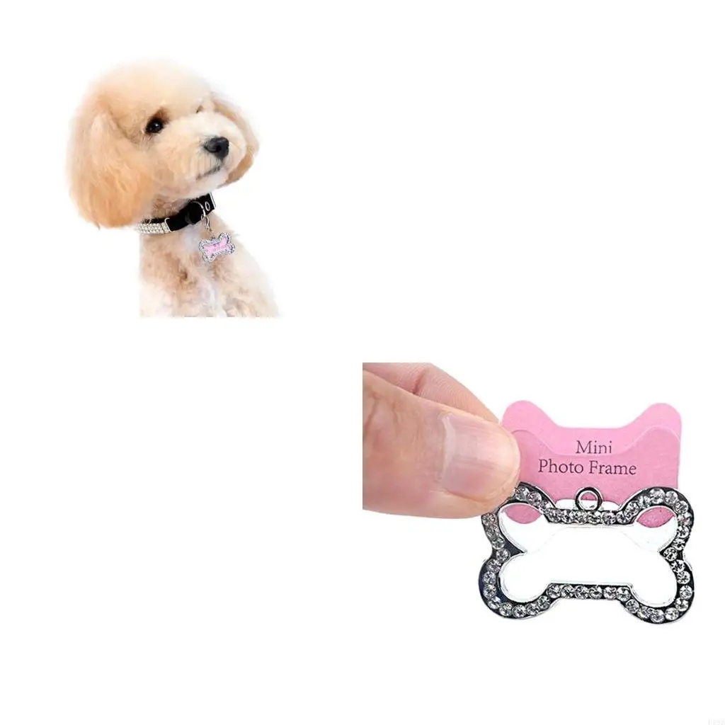 F19B Cats Tag Pet Collar Charm Bone Dog Tag Tag Pet Tag For Dogs Dogs Tag For Pets Small