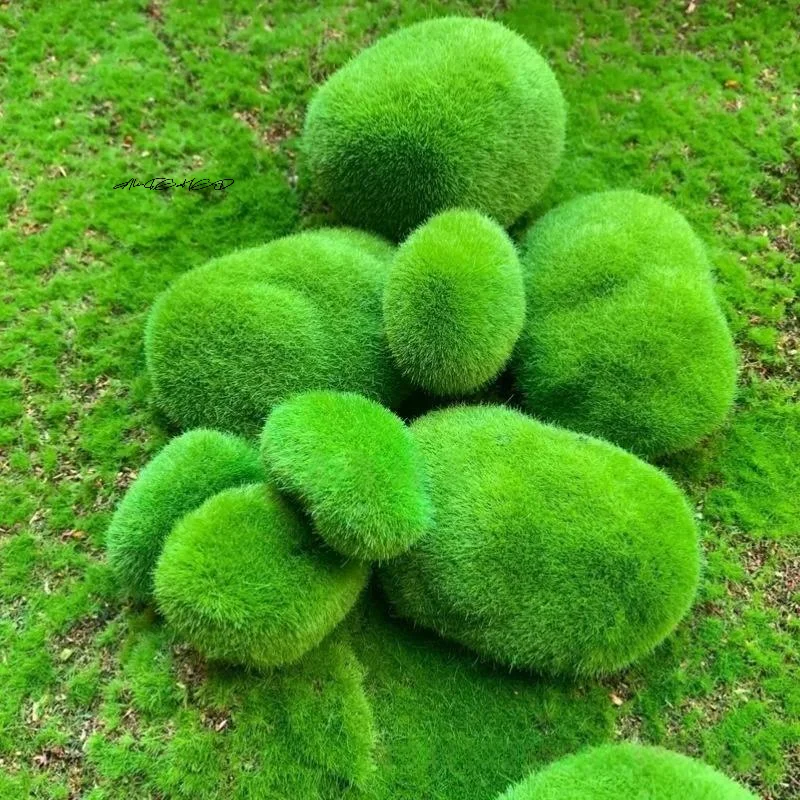5/10 Buah Batu Lumut Busa Hija - Preserved Moss Sheet ulasan dan harga