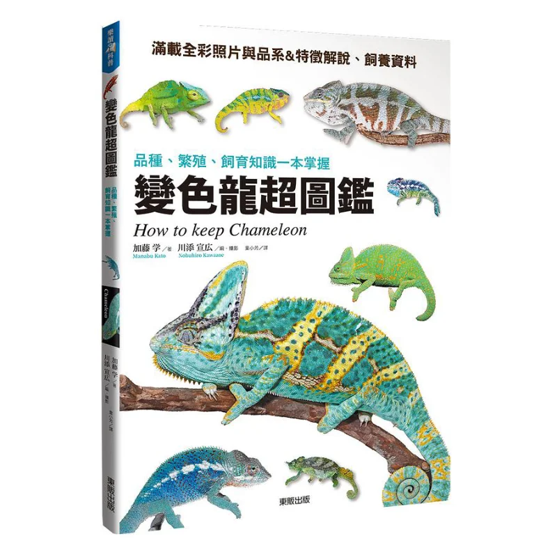 Chameleon Super Guide  Master The Knowledge Of Breeds Reproduction And Breeding In One Book Akira Kato 9786263049581
