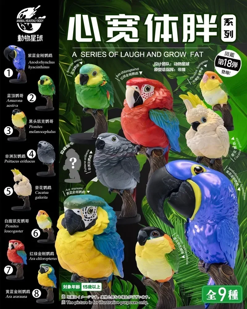 Animal L Augh And Grow Fat Series No.18 Parrot Model Psittaciformes Animal Gk Decora Collection Birthday Toy Gift