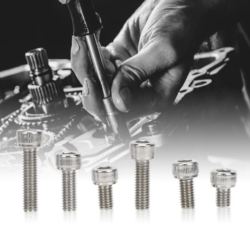 60Pcs Cap Screw Set Hex Socket Stainless Steel 304 For Electronics Industry With Plastic Box