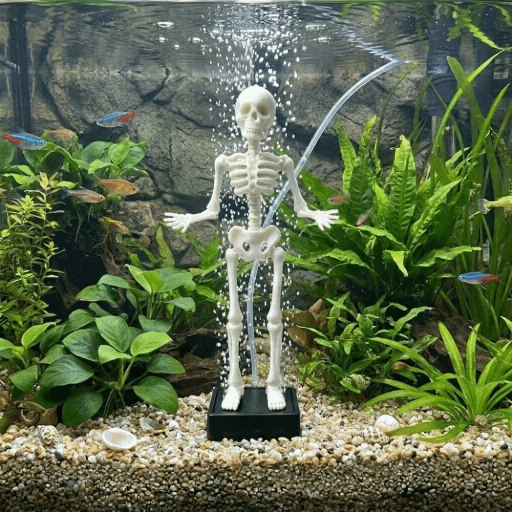 Drukowany w technologii 3D tań – Aquarium & Marine Museum Universiti Malaysia Sabah Kota Kinabalu Sabah Photos recenzja i cena