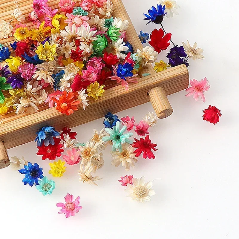 Mini Star Dried Flower For Epoxy Resin Jewelry Making Decoration Resin Mold Filling Home Decoration Natural Nail Art Accessories