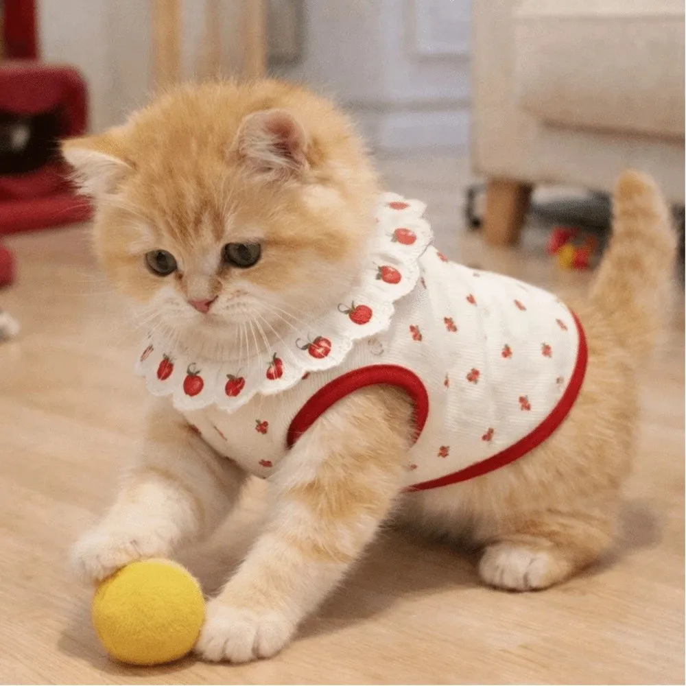 Fashion Ruffled Collar Cat Strawberry Vest Cherry Pattern So