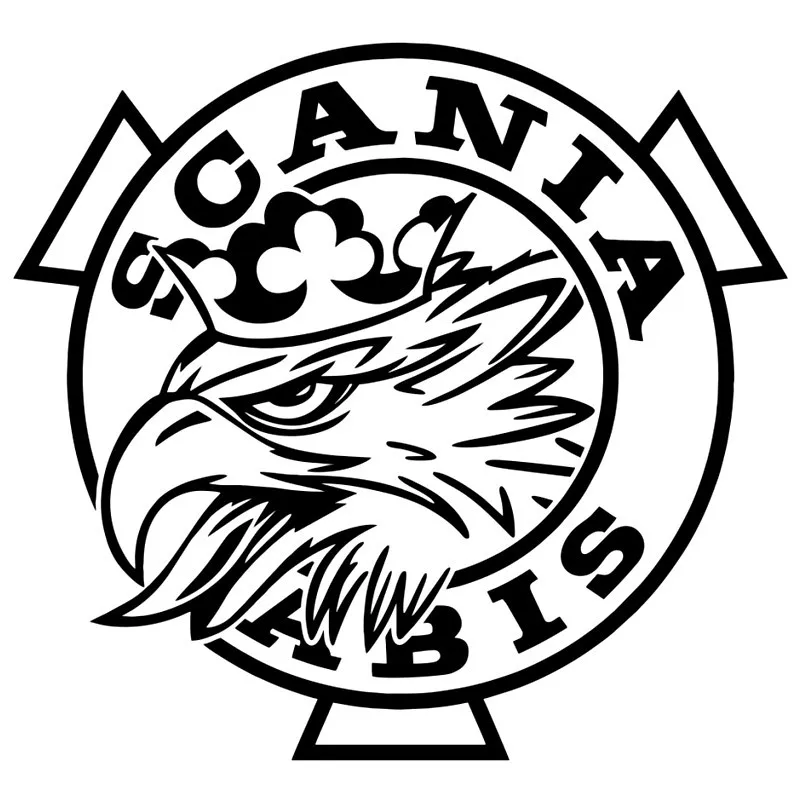 

Funny Eagle Car Sticker Motorcycles Exterior Accessories PVC Decals , Suitable for All Kinds of Cars AND Customizable Size