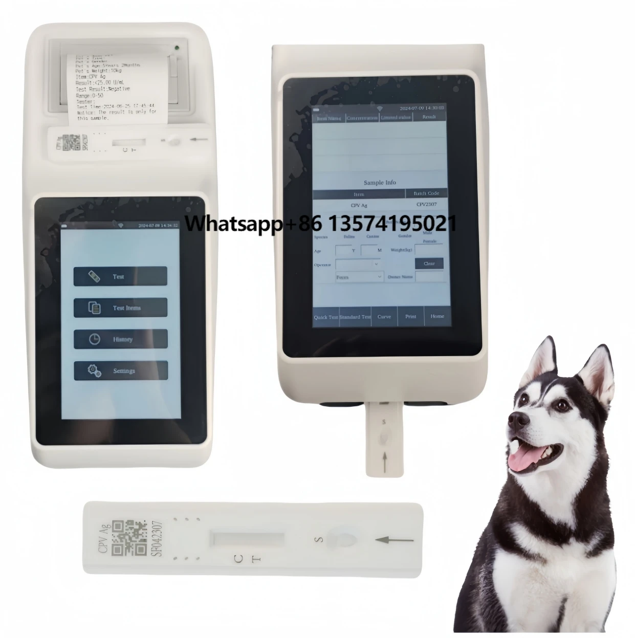 Vet Immuno  Fluorescence Rapid Detection Reagent  Assay Analyzer Immunoassay Machine