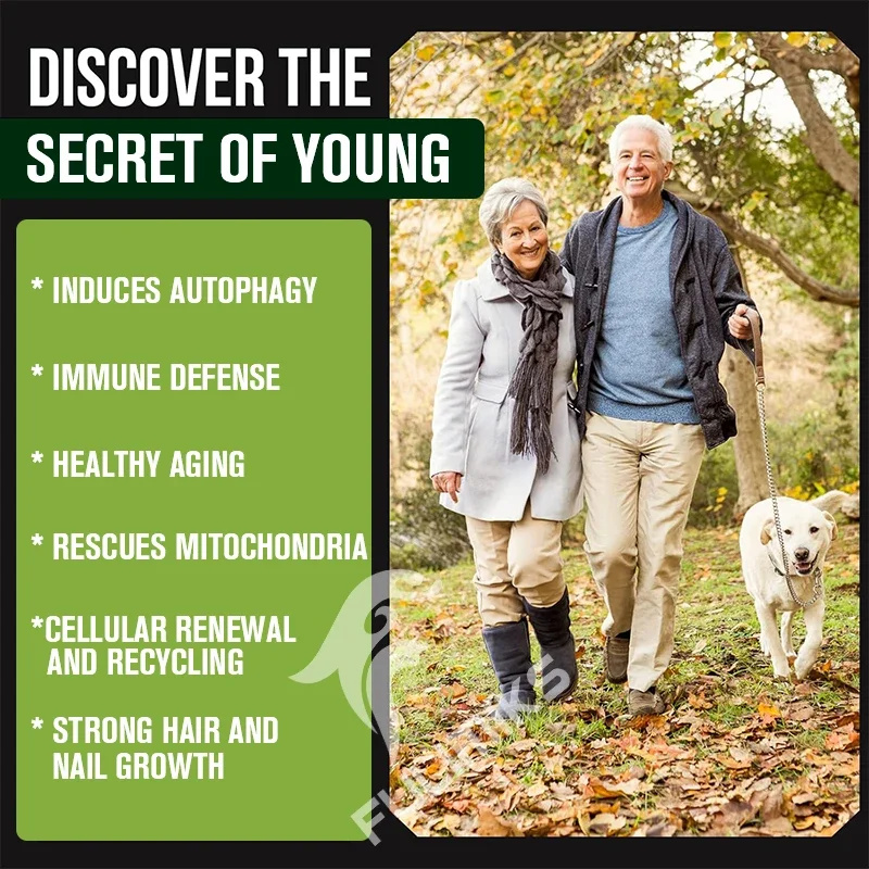 كبسولات زيت جرثومة القمح – المصدر الطبيعي لفيتامين E، البشرة المغذية والشعر الصحي، صحة القلب، مضادات الأكسدة القوية