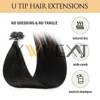 U‑Tip Nail Tip Keratin Human Hair Extensions, Real Remy Human Hair 50Pcs/Pack 30g 12‑20 Inch Pre‑Bonded Fusion Hair, Invisible Natural Basic Style, 8 Multiple Colors for Women 5