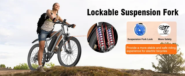 Electric Bicycles-T6